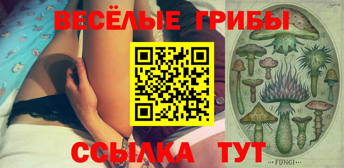Нижний Тагил  хочу наркоту  Галлюциногенные грибы Cubensis  Вход с VPN  Псилоцибиновые грибы ЛСД 